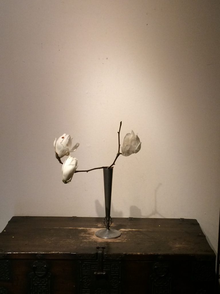 木蓮　お花教室にて