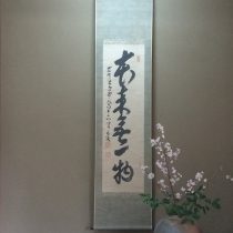 お客様にいただいた桜