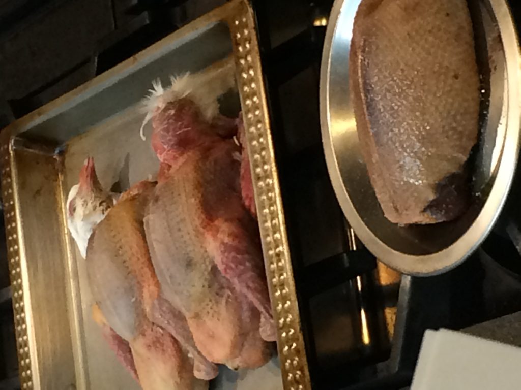 窒息死させた鳩
