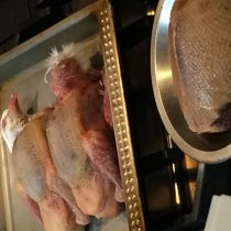 窒息死させた鳩