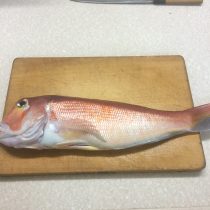 立派な甘鯛♪写真は内蔵を取り出した後に撮ったもの(^-^)