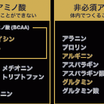 必須アミノ酸と非必須アミノ酸の一覧