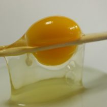 アミノ酸のバランス抜群のみのり農場の卵☆