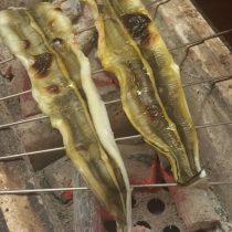 穴子の白焼き！備長炭で焼きます♪