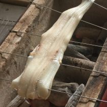 皮目から焼いていきます(^O^)