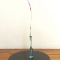ねじり花♪ドリルのように花が咲きます♪