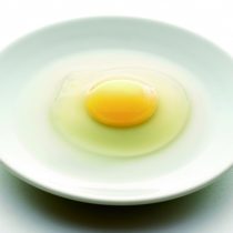 卵が１番重要な役割を担っています。