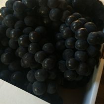 巨峰ではなくキャンベルです