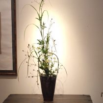 秋の風情がする活け花。