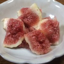 唐津の無花果