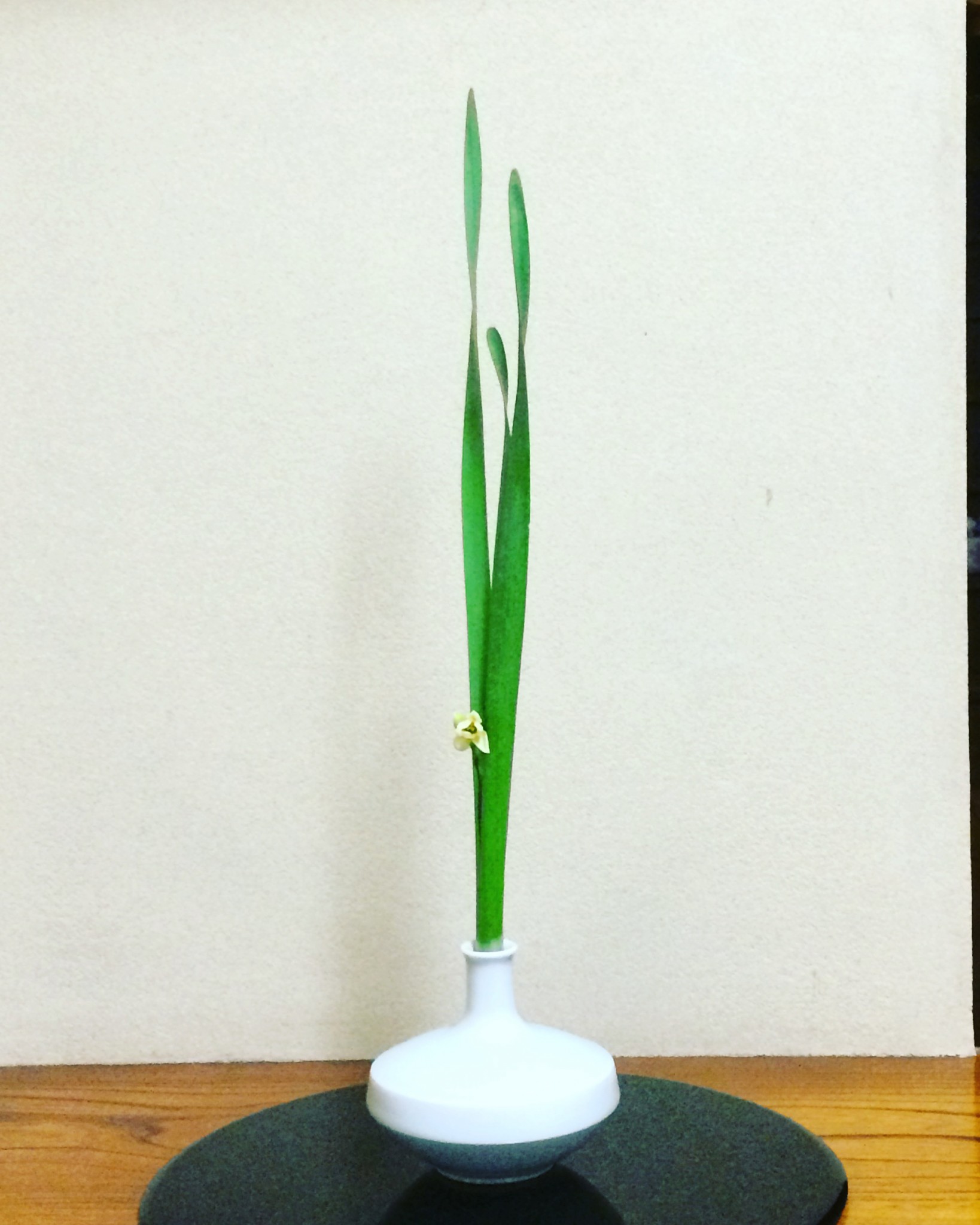 新年を迎える花を活けます。写真は水仙☆