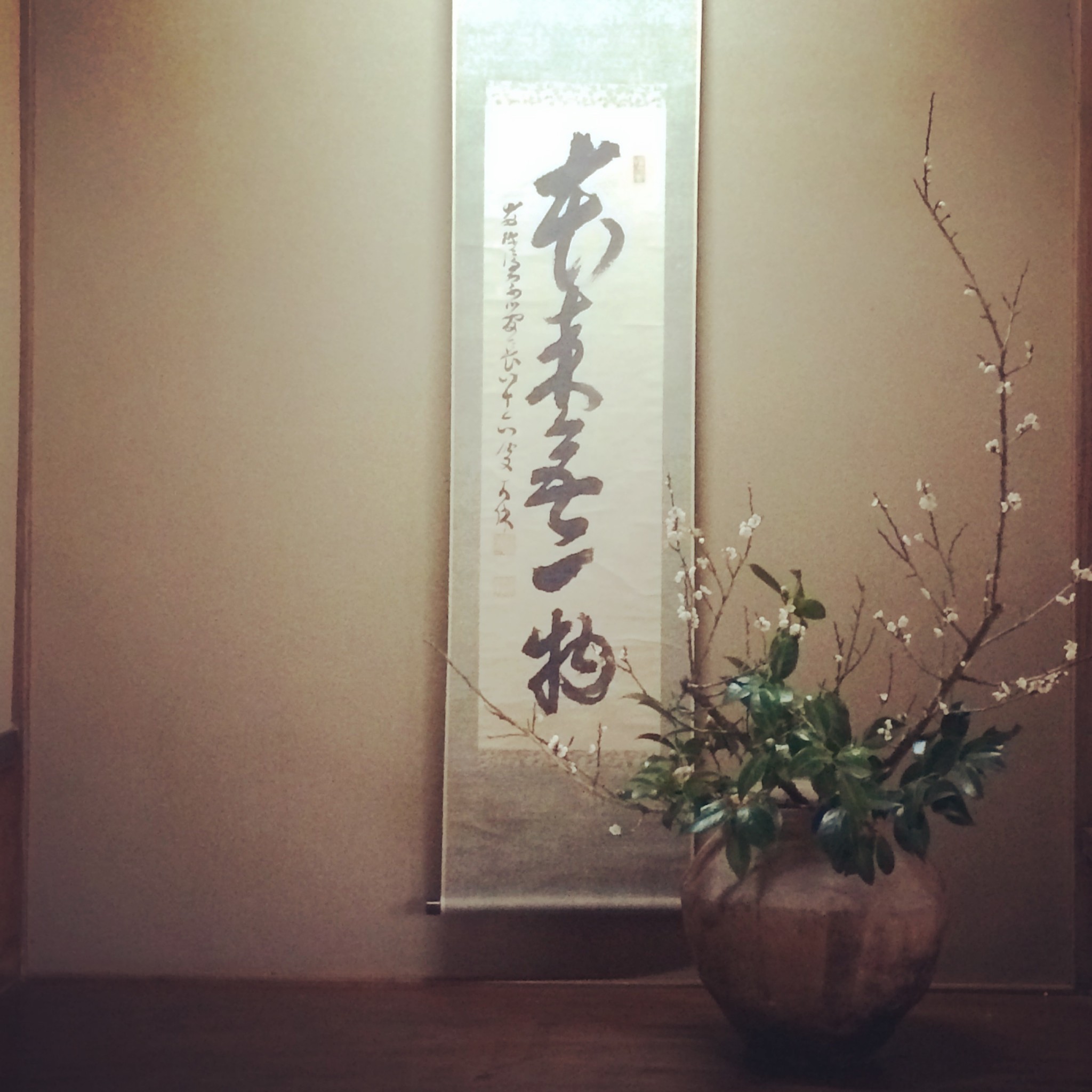 古越前の大壷に梅と椿☆