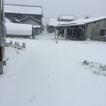 唐津は吹雪です☆