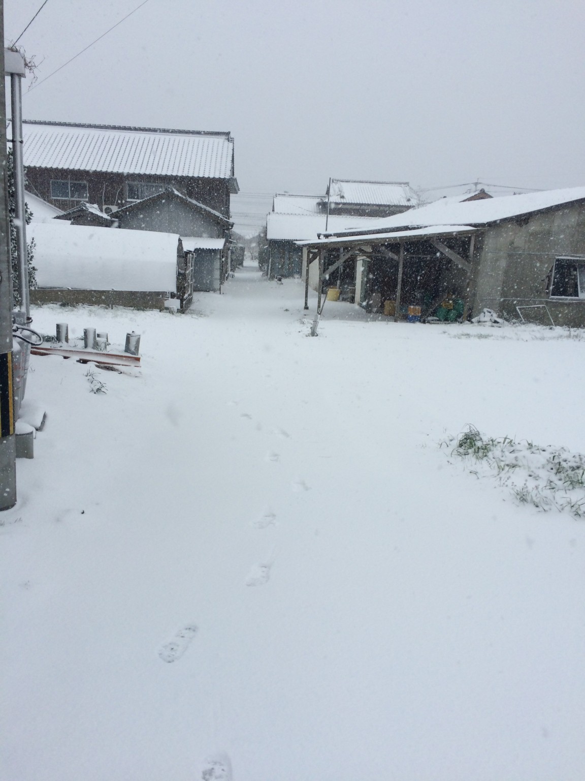 唐津は吹雪です☆