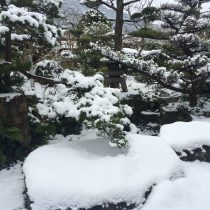 雪が降ったたまご色のケーキ屋さんの庭♪