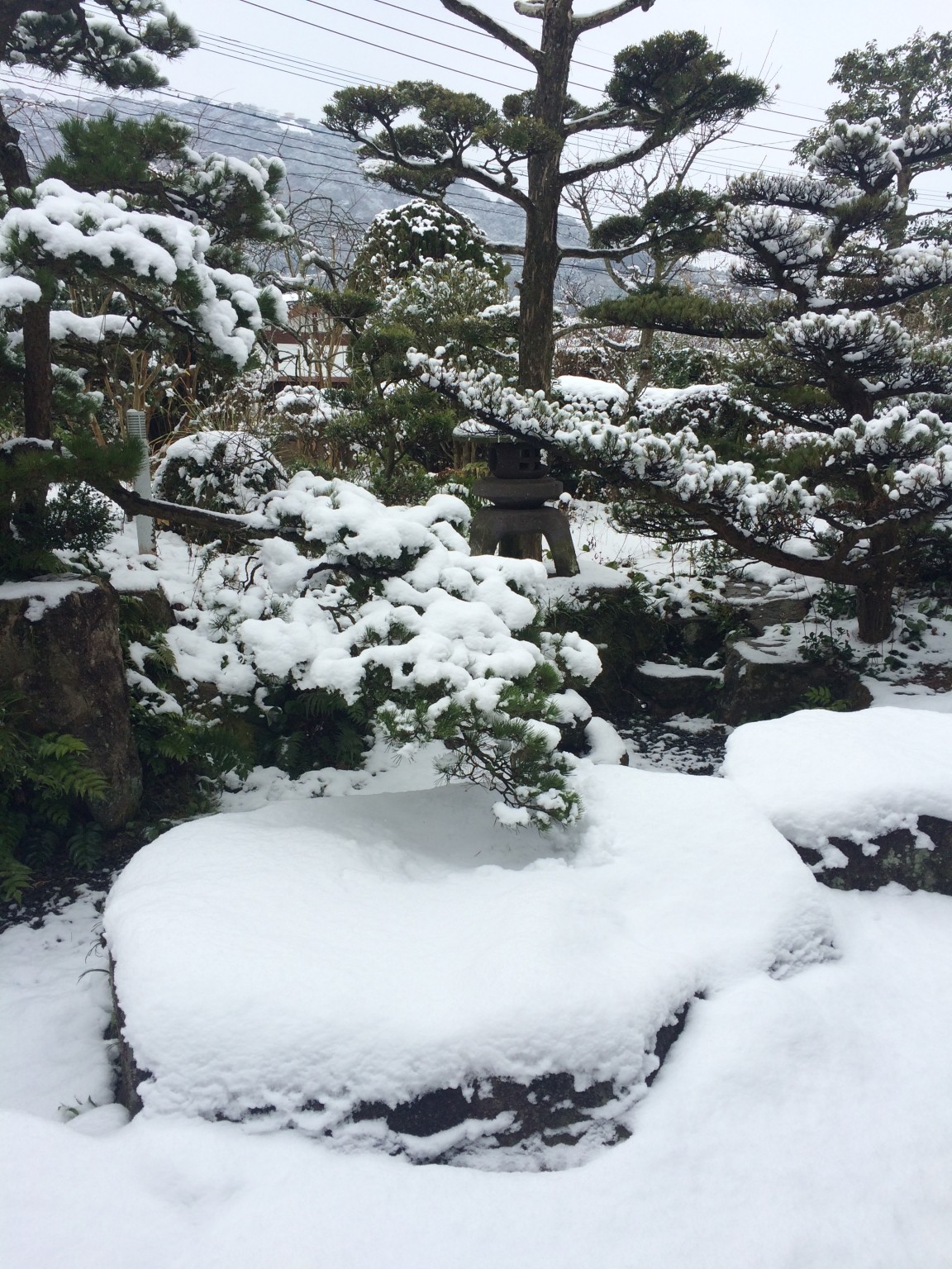 雪が降ったたまご色のケーキ屋さんの庭♪