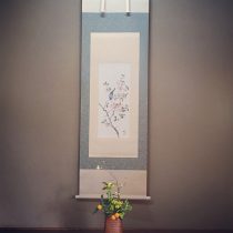 春の花
