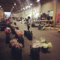 福岡花市場☆