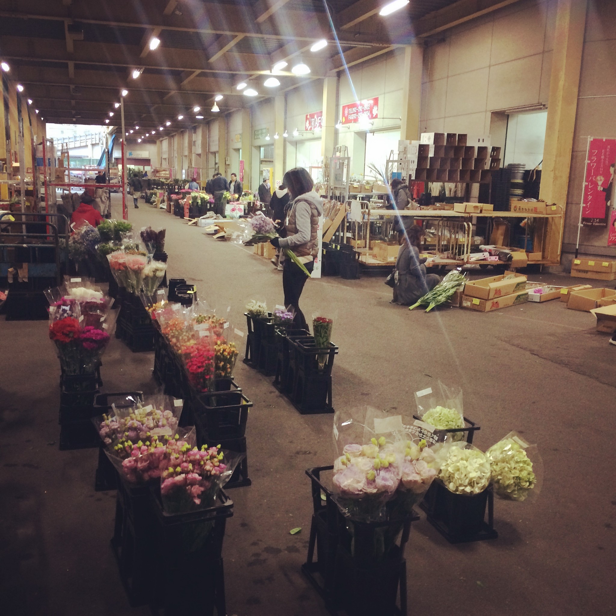 福岡花市場☆