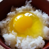 産みたての卵の卵かけご飯☆