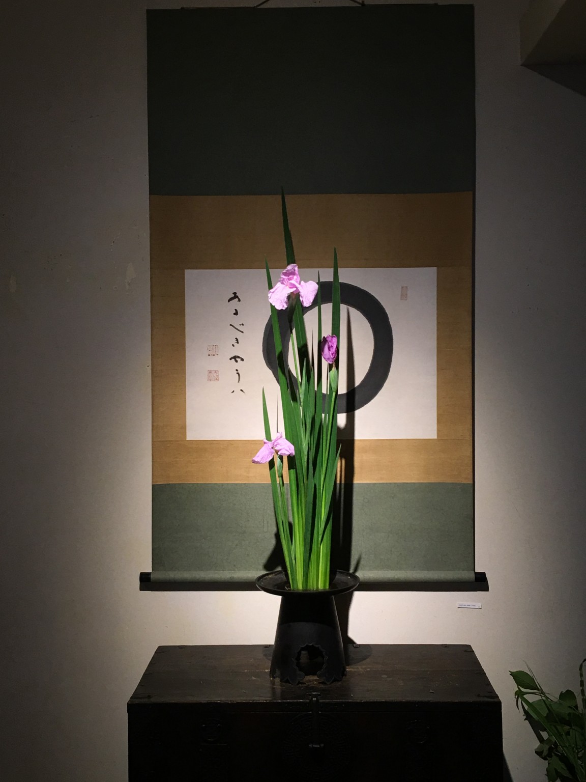 花菖蒲