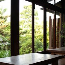 縁側から見たアガパンサスの花