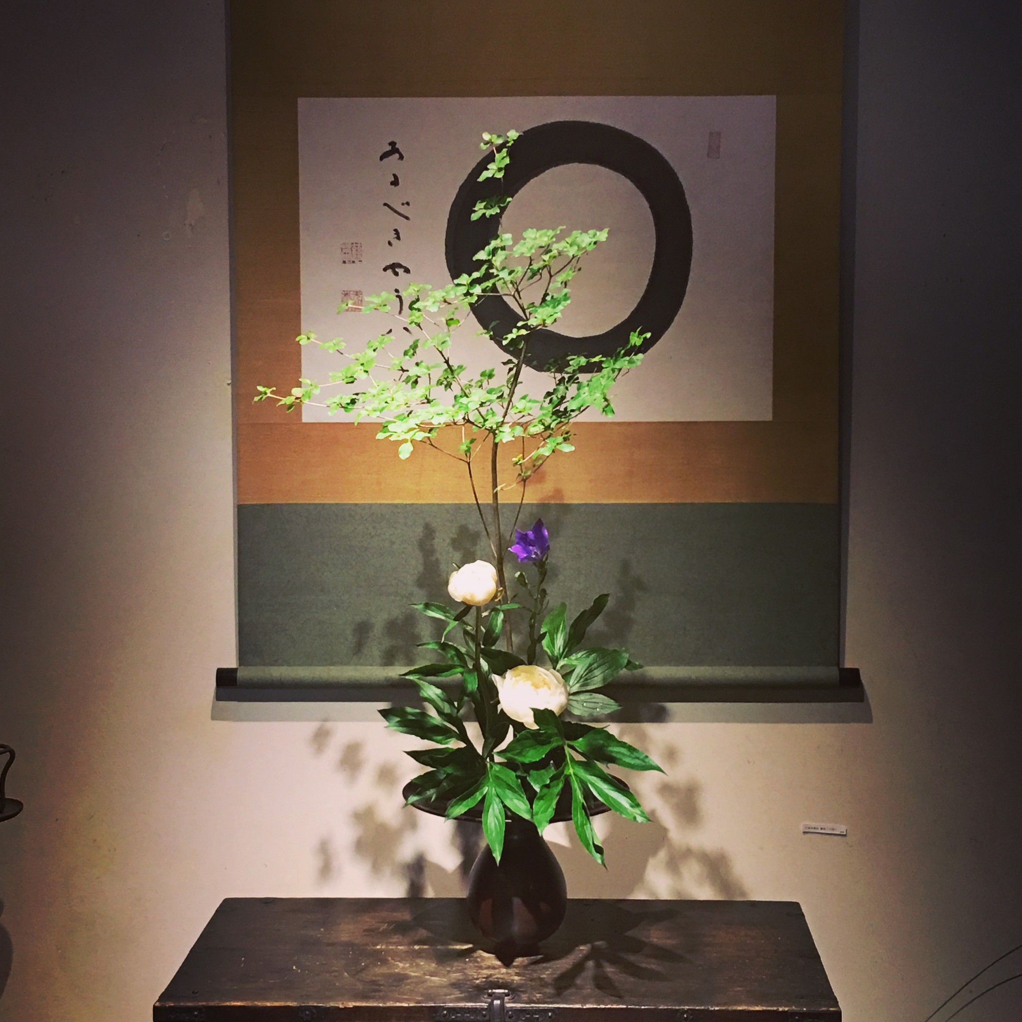 お稽古で芍薬を活けました☆