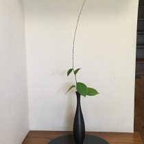 水引を１つシンプルに♪