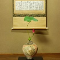 中国の壺に蓮☆