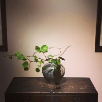 福村龍太さんの壺に☆