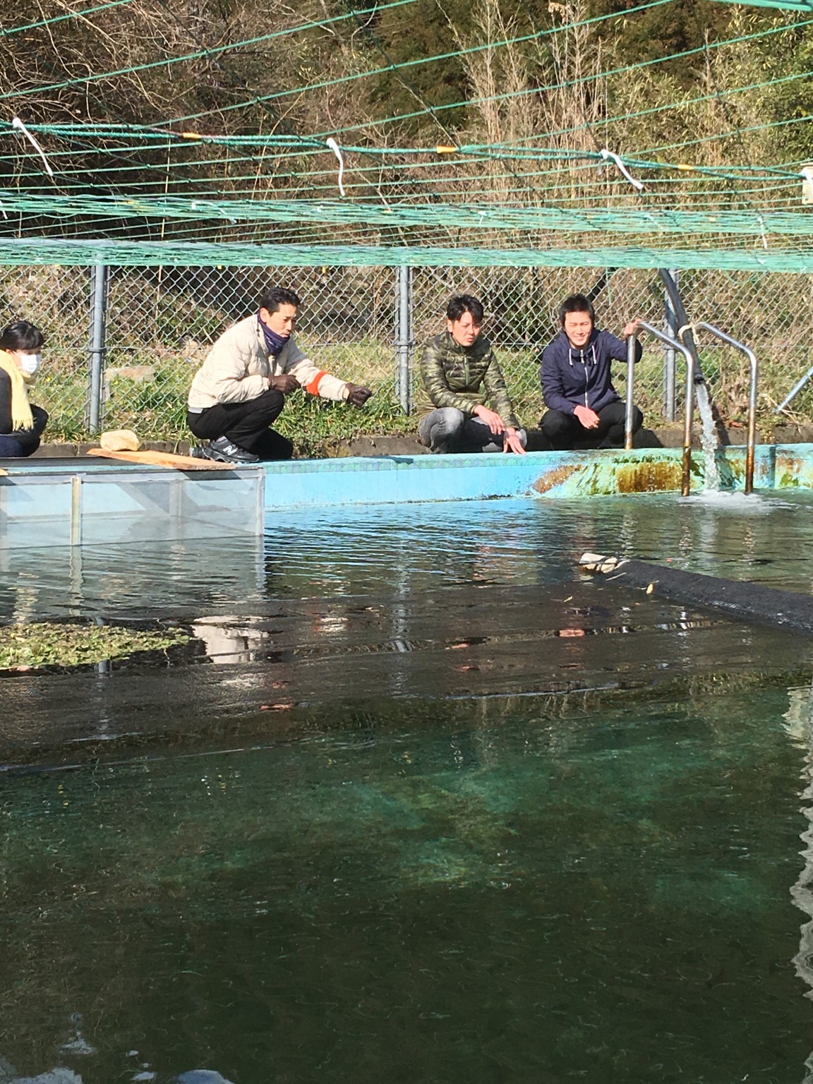 厳木の虹鱒の養殖嬢で釣りをする若手料理人☆